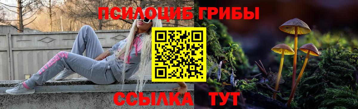 Псилоцибиновые грибы Psilocybe  Вход с VPN  Барабинск 
