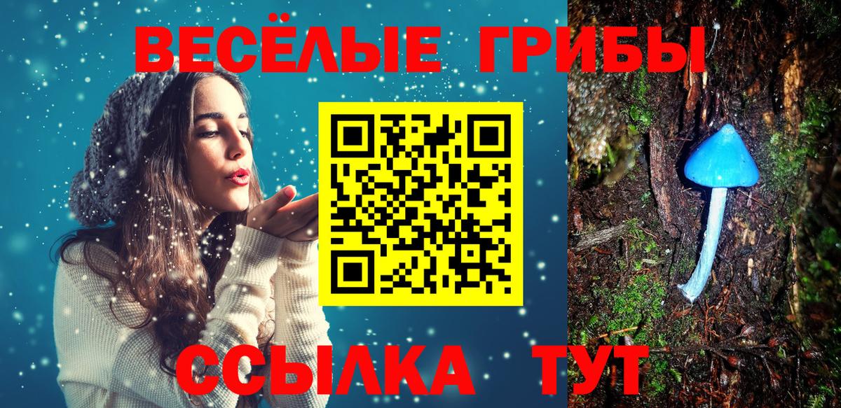 Псилоцибиновые грибы Psilocybe Барабинск